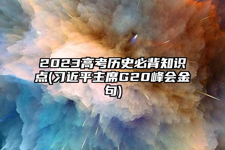 2023高考历史必背知识点(习近平主席G20峰会金句)