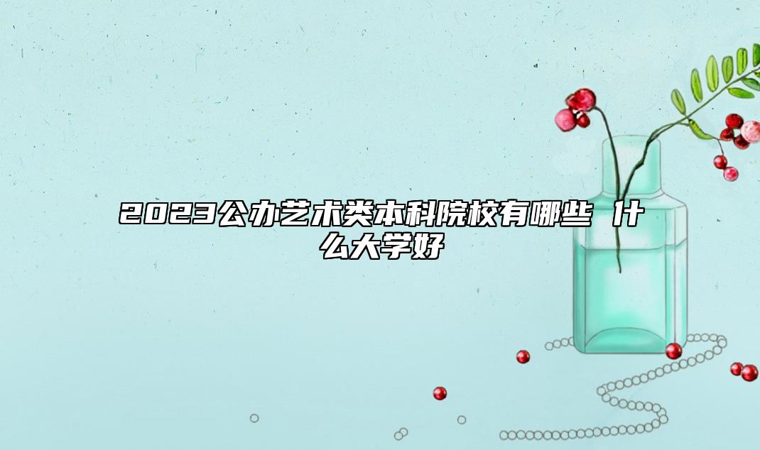 2023公办艺术类本科院校有哪些 什么大学好