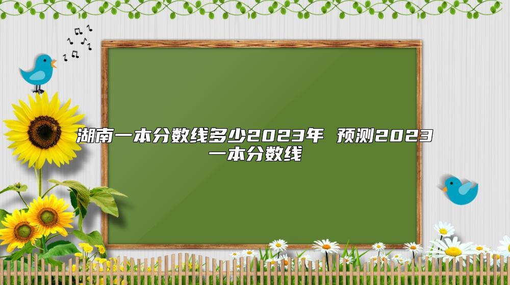 湖南一本分数线多少2023年 预测2023一本分数线