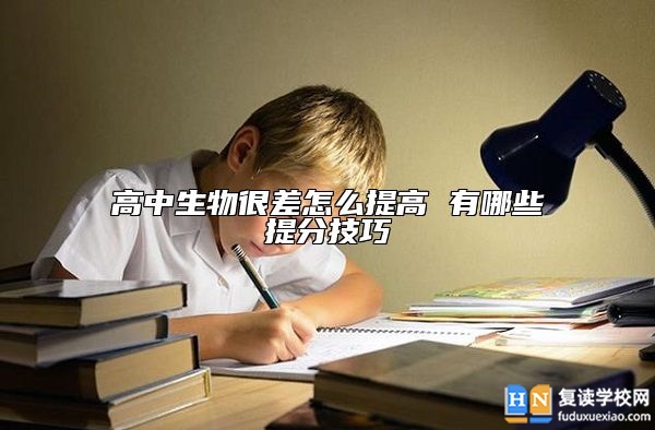高中生物很差怎么提高 有哪些提分技巧