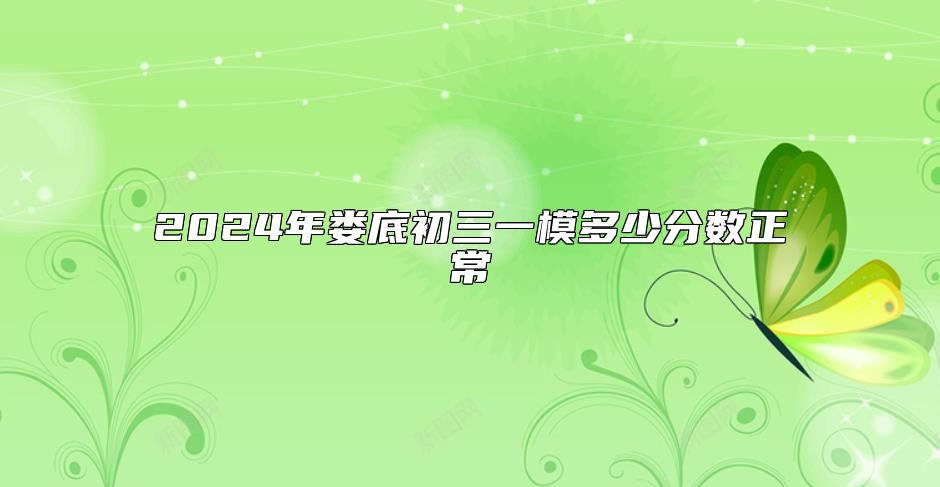 2024年娄底初三一模多少分数正常