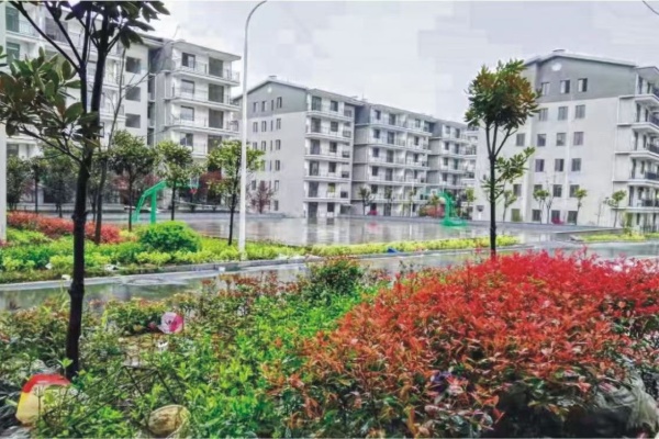 衡阳智胜学校2026届单招复读招生简章