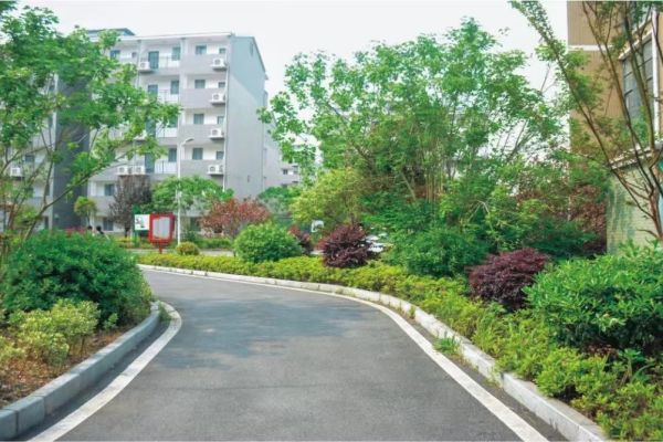 衡阳智胜学校2026届单招复读招生简章