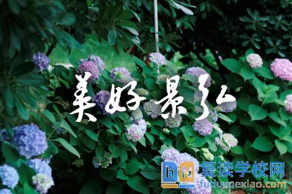 株洲市景弘高级中学2025年招生简章